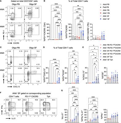 Disordered T cell-B cell interactions in autoantibody-positive inflammatory arthritis